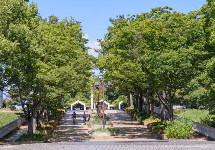 庄内緑地