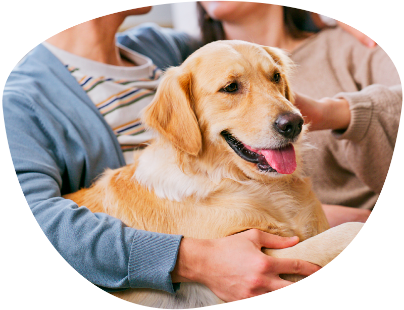 1階住戸で大型犬飼育可能